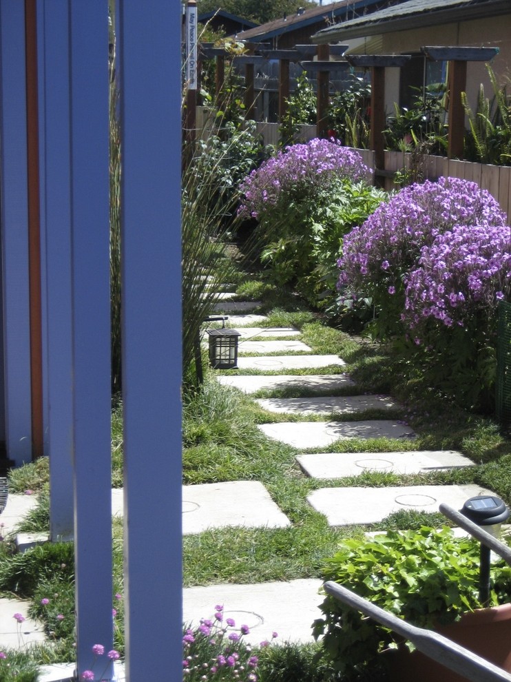 Photo of a contemporary side garden steps in San Luis Obispo.