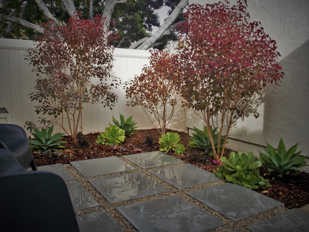 Immagine di un giardino xeriscape moderno in cortile con pavimentazioni in cemento
