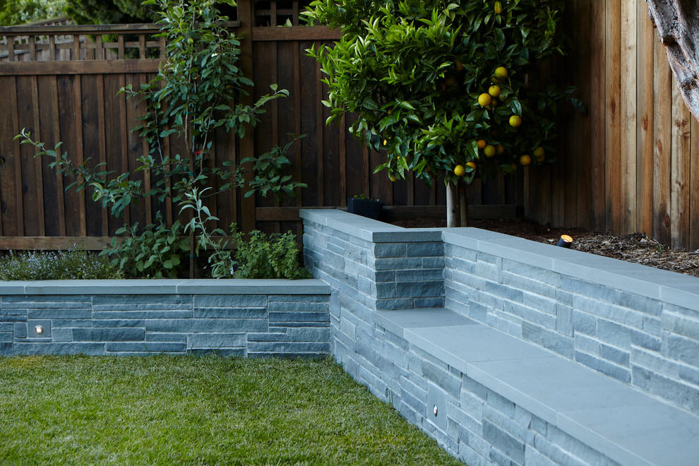 Modelo de jardín actual pequeño en patio trasero con muro de contención y adoquines de piedra natural