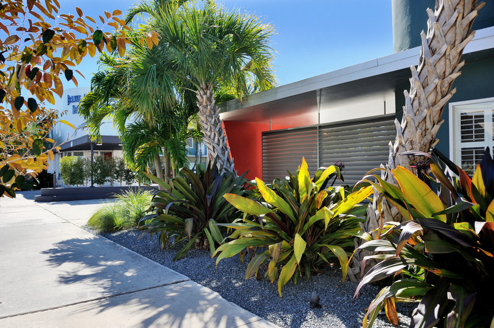 Photo of a contemporary front yard landscaping in Miami.