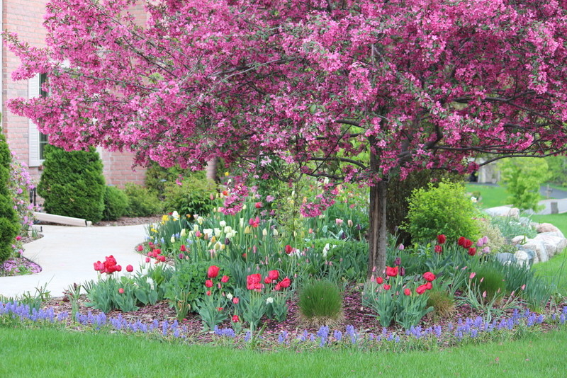 Idee per un giardino esposto a mezz'ombra davanti casa in primavera