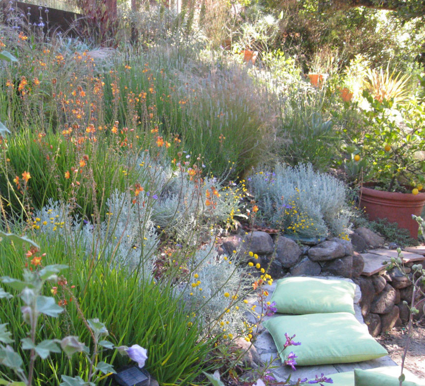 This is an example of a contemporary landscaping in San Francisco.