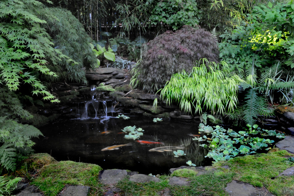 Idée de décoration pour un jardin arrière chalet avec un bassin, une exposition ombragée et des pavés en pierre naturelle.