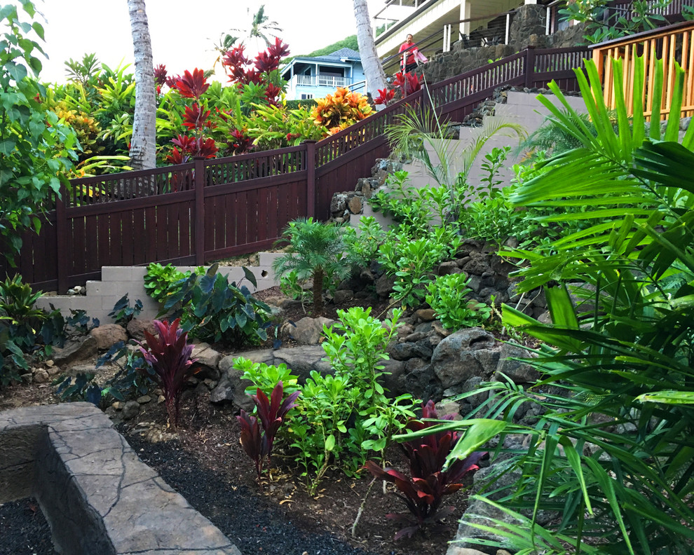 Immagine di un grande giardino formale tropicale esposto a mezz'ombra davanti casa con pacciame