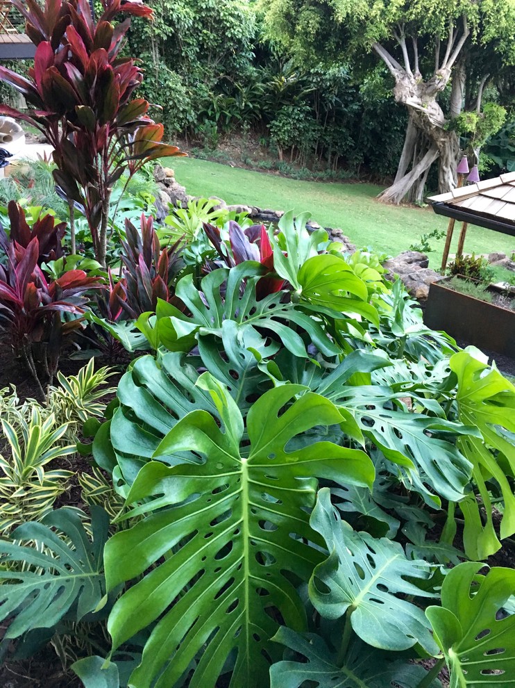 Immagine di un grande giardino formale tropicale esposto a mezz'ombra davanti casa