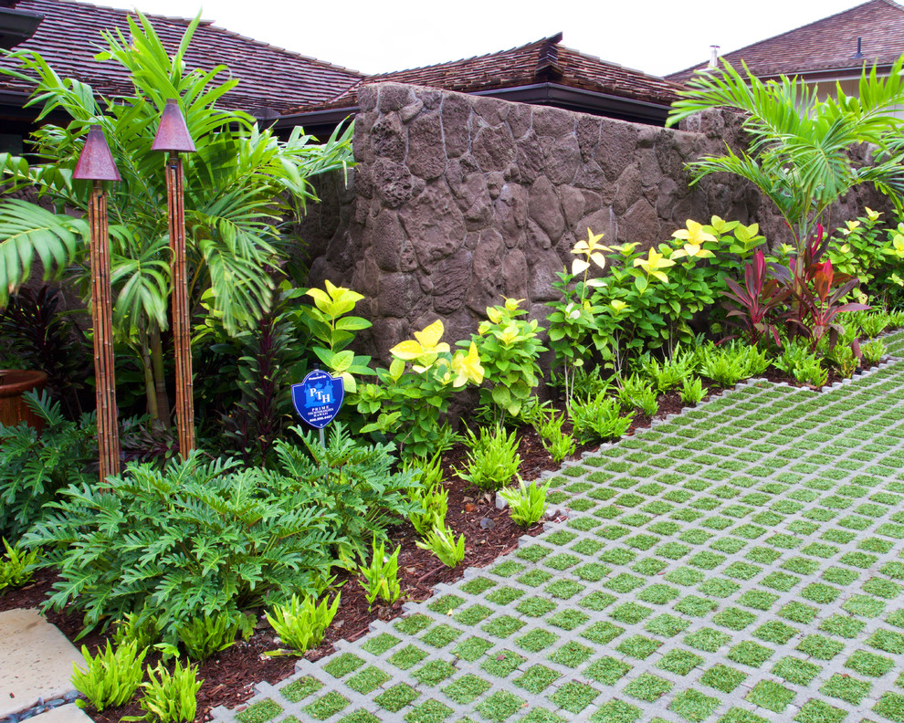 Bild på en stor tropisk formell trädgård i delvis sol framför huset, med marktäckning