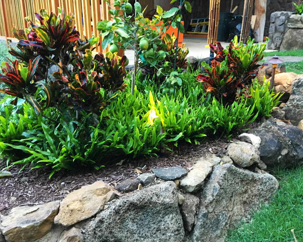 Geometrischer, Großer, Halbschattiger Vorgarten mit Mulch in Hawaii