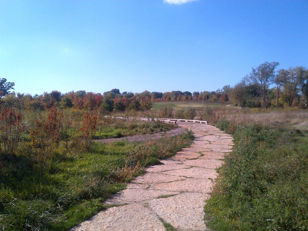 Cette photo montre un très grand jardin nature l'été avec une exposition ensoleillée et des pavés en pierre naturelle.