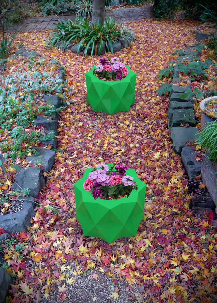 Cette image montre un grand jardin design l'automne avec une exposition ensoleillée.