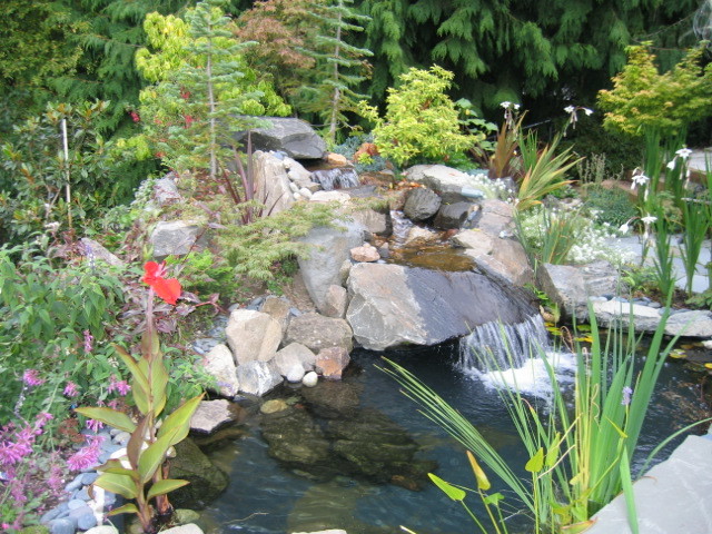 На фото: тенистый садовый фонтан среднего размера на заднем дворе в стиле ретро с покрытием из каменной брусчатки с