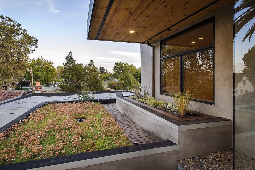 Свежая идея для дизайна: участок и сад на крыше в стиле модернизм - отличное фото интерьера