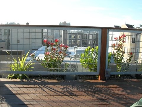 This is an example of a modern landscaping in San Francisco.