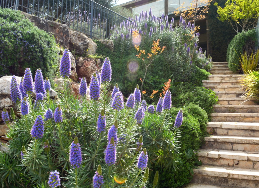 Ejemplo de jardín mediterráneo con exposición total al sol y adoquines de piedra natural