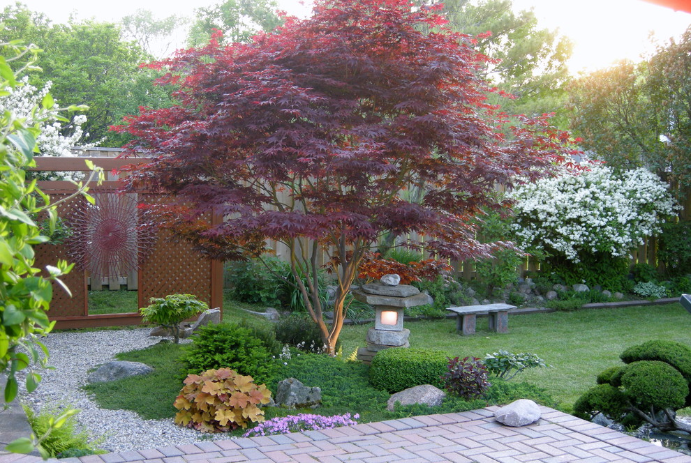トロントにあるアジアンスタイルのおしゃれな庭の写真