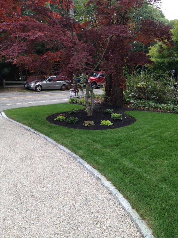 This is an example of a traditional full sun front yard landscaping in Boston.