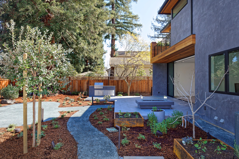 На фото: регулярный сад среднего размера на заднем дворе в современном стиле с растениями в контейнерах, полуденной тенью и мощением тротуарной плиткой с