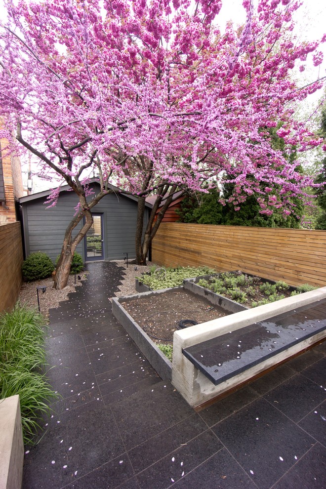 Moderner Garten im Frühling, hinter dem Haus in Toronto