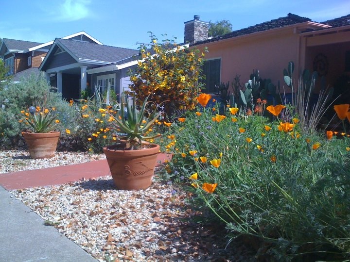 На фото: солнечный засухоустойчивый сад среднего размера в стиле фьюжн с хорошей освещенностью и покрытием из каменной брусчатки с