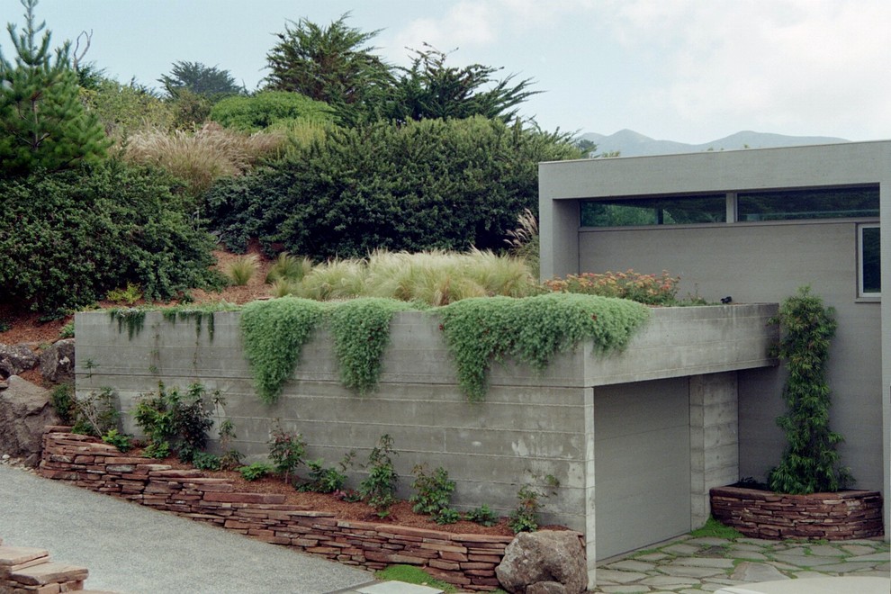 На фото: солнечный участок и сад на крыше в современном стиле с хорошей освещенностью