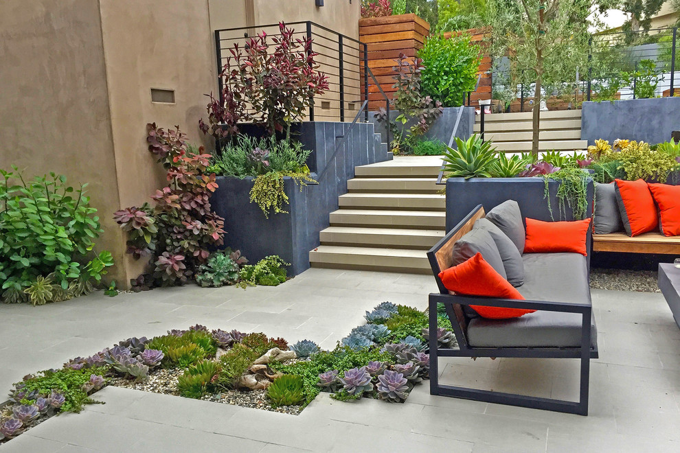 Ispirazione per un piccolo giardino xeriscape design esposto a mezz'ombra davanti casa con pavimentazioni in pietra naturale