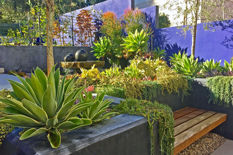 Calabasas Entry Courtyard Contemporary Landscape Orange County