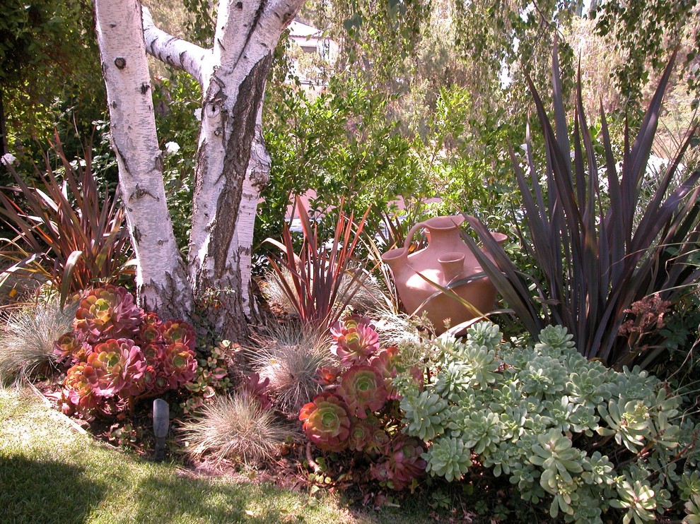 Immagine di un piccolo giardino xeriscape american style esposto a mezz'ombra