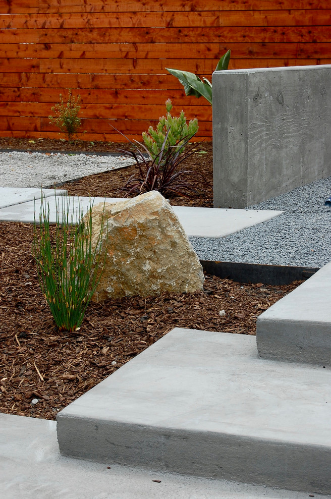 This is an example of a medium sized contemporary back xeriscape full sun garden for spring in San Francisco with a rockery and concrete paving.
