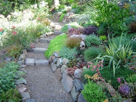 Design ideas for a mediterranean xeriscape garden in San Francisco with a garden path and gravel.