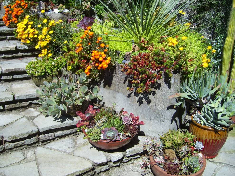 Пример оригинального дизайна: участок и сад в средиземноморском стиле с садовой дорожкой или калиткой и покрытием из каменной брусчатки