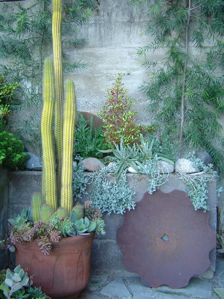 Exempel på en medelhavsstil trädgård som tål torka och framför huset, med en stödmur och naturstensplattor