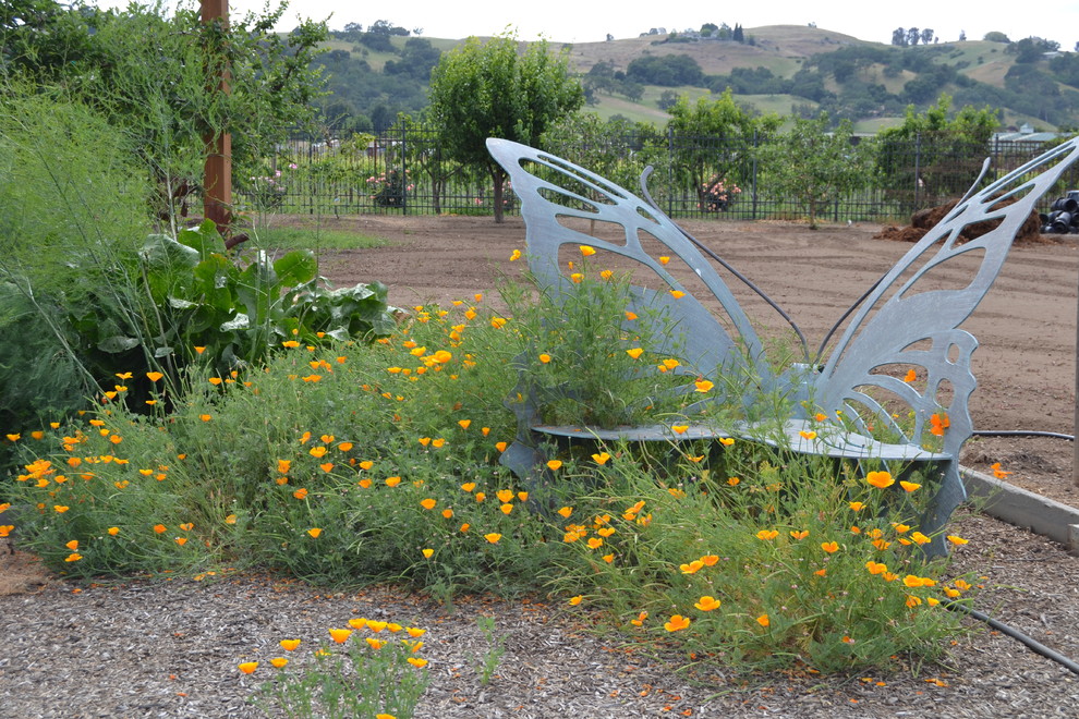 Design ideas for a mediterranean garden in San Francisco.