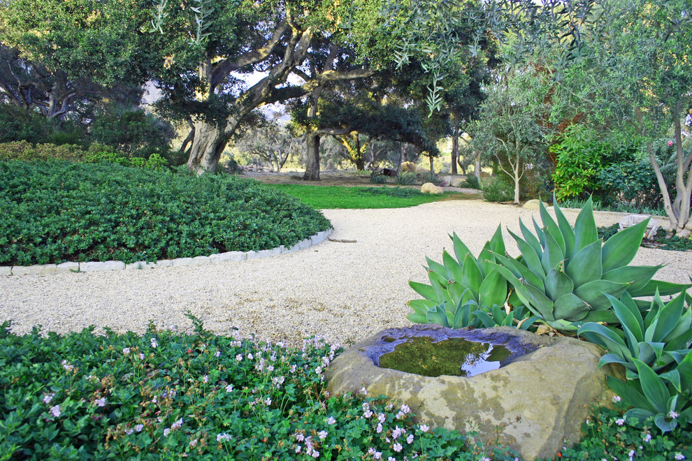 На фото: регулярный сад среднего размера на заднем дворе в современном стиле с садовой дорожкой или калиткой, полуденной тенью и покрытием из гравия с