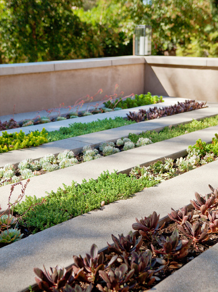 Réalisation d'un jardin minimaliste.