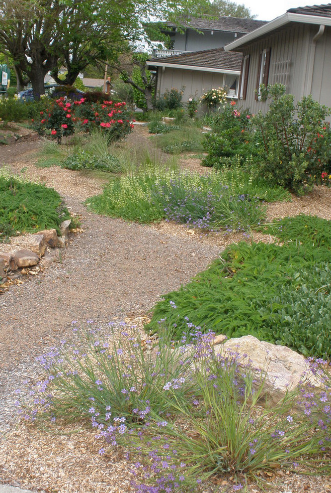 California native front yard - Traditional - Landscape - San Francisco ...