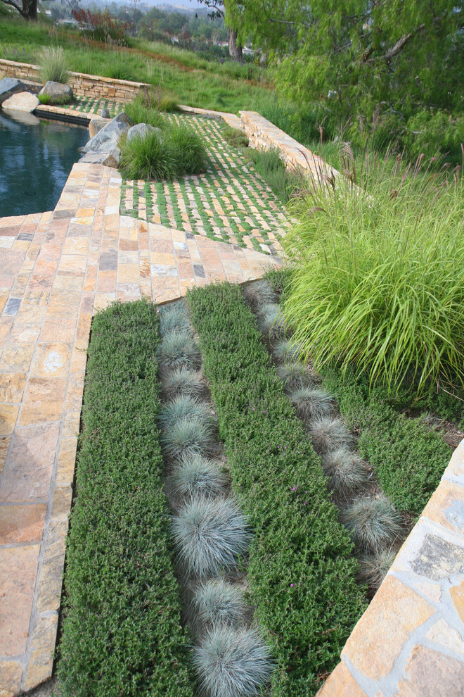 Moderner Garten hinter dem Haus mit Natursteinplatten und direkter Sonneneinstrahlung in Orange County