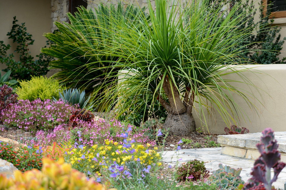 Medium sized mediterranean front xeriscape partial sun garden in San Diego with a garden path and mulch.