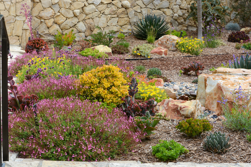 Imagen de jardín de secano mediterráneo pequeño en verano en patio delantero con exposición parcial al sol y mantillo