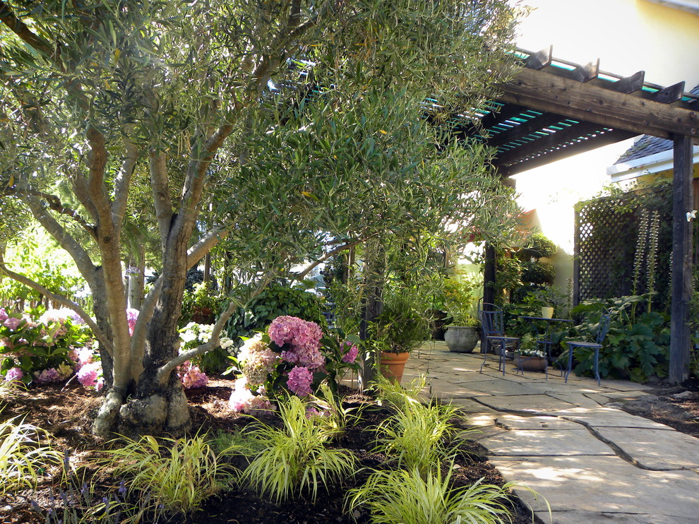Idée de décoration pour un grand jardin méditerranéen l'été avec une exposition partiellement ombragée et un paillis.