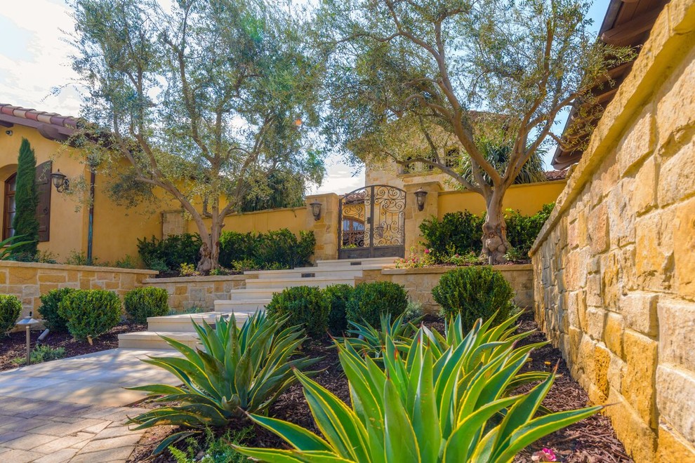 Calle Stellina Mediterranean Landscape San Diego by Terra Bella