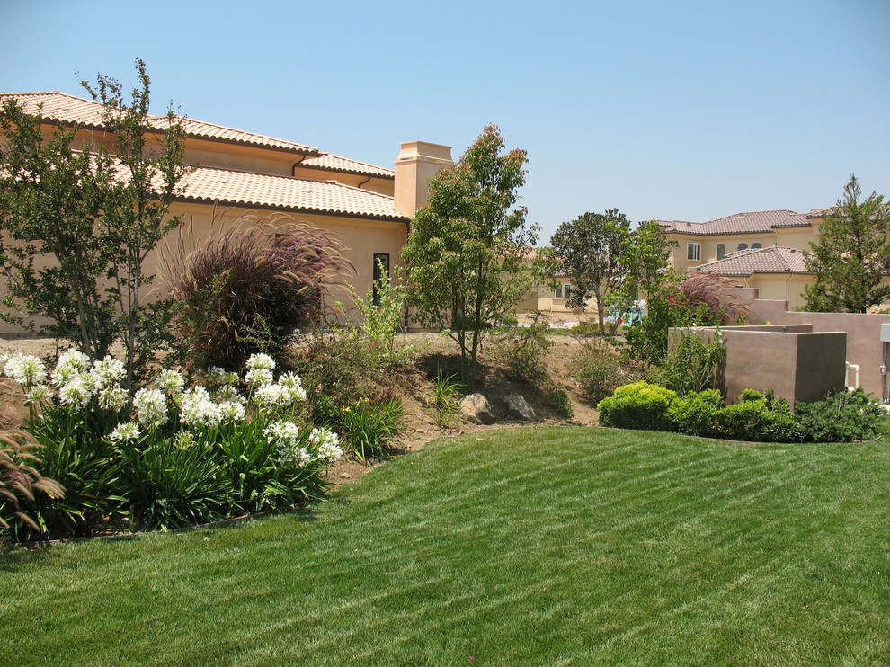 Imagen de jardín exótico de tamaño medio en patio trasero con exposición total al sol y mantillo