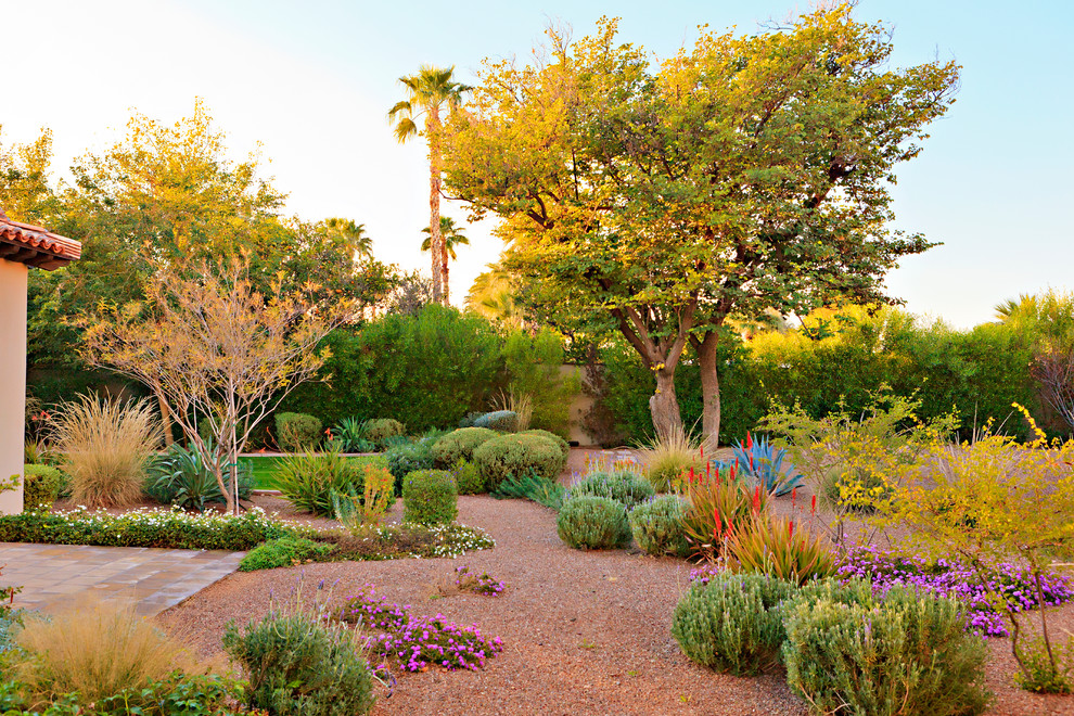 Inspiration pour un jardin arrière méditerranéen.