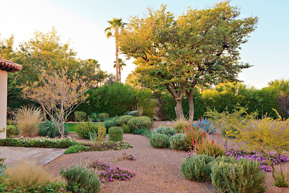 This is an example of a mediterranean drought-tolerant, full sun and desert backyard gravel landscaping in Phoenix.