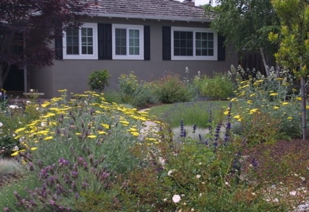 Inspiration for a mid-sized modern full sun front yard garden path in San Francisco for spring.