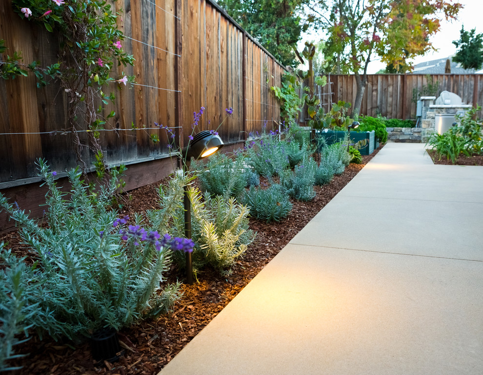 Campbell Contemporary - Contemporary - Landscape - San Francisco - by ...
