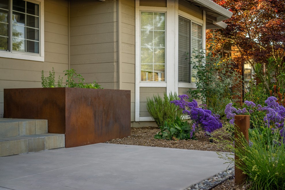 Campbell Front Yard Xeriscape Modern Landscape San Francisco by