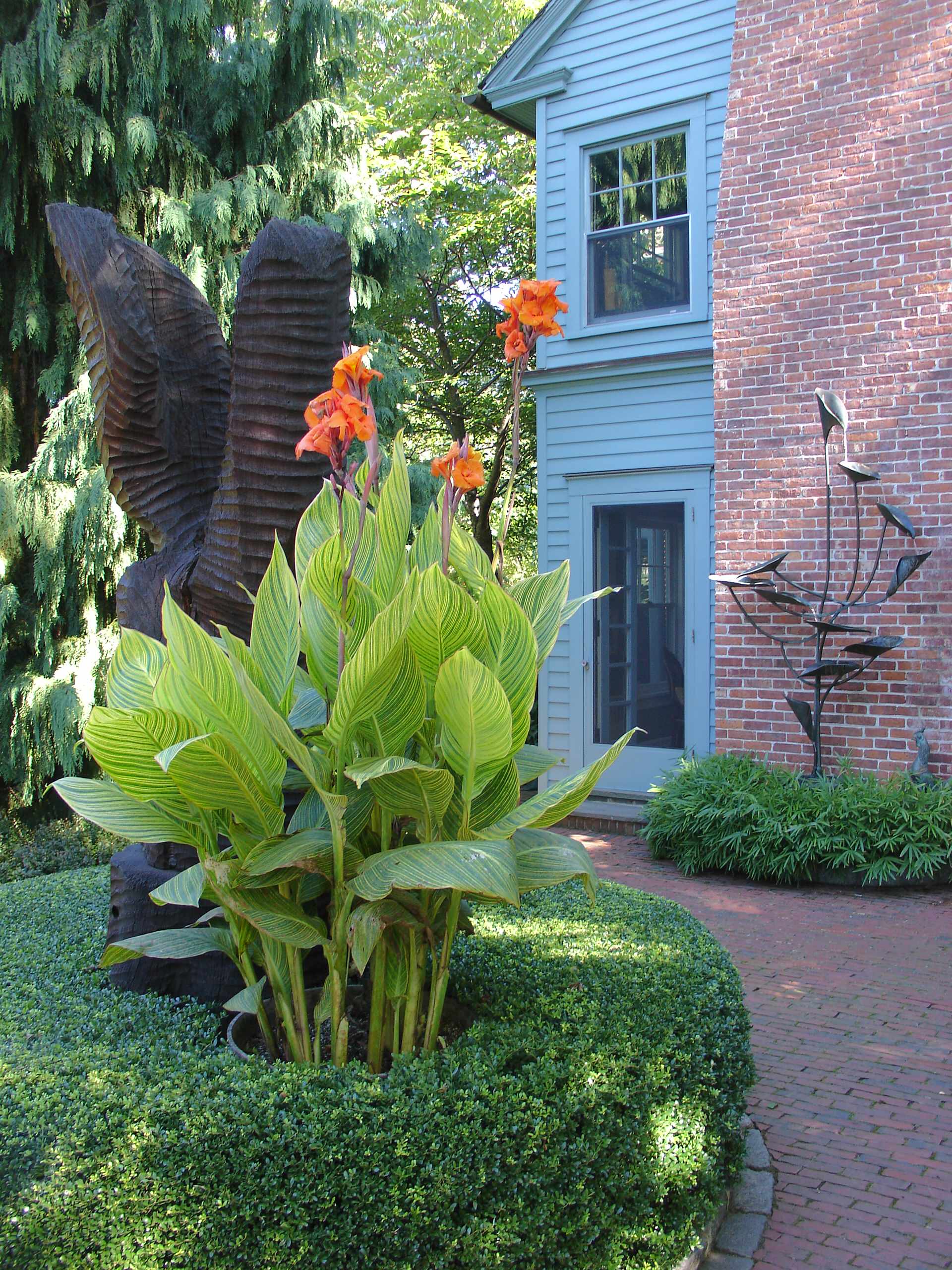 Canna Pretoria Tropical Landscape Philadelphia By Www Karlgercens Com Houzz Canna Pretoria Tropical Landscape Philadelphia By Www Karlgercens Com Houzz
