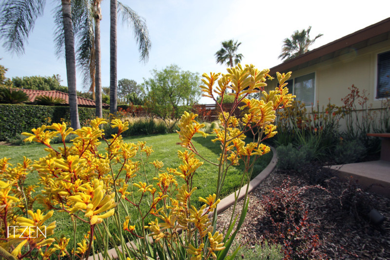 Mittelgroßer Moderner Vorgarten mit direkter Sonneneinstrahlung in Orange County