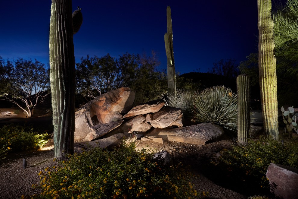This is an example of a huge southwestern landscaping in Phoenix.