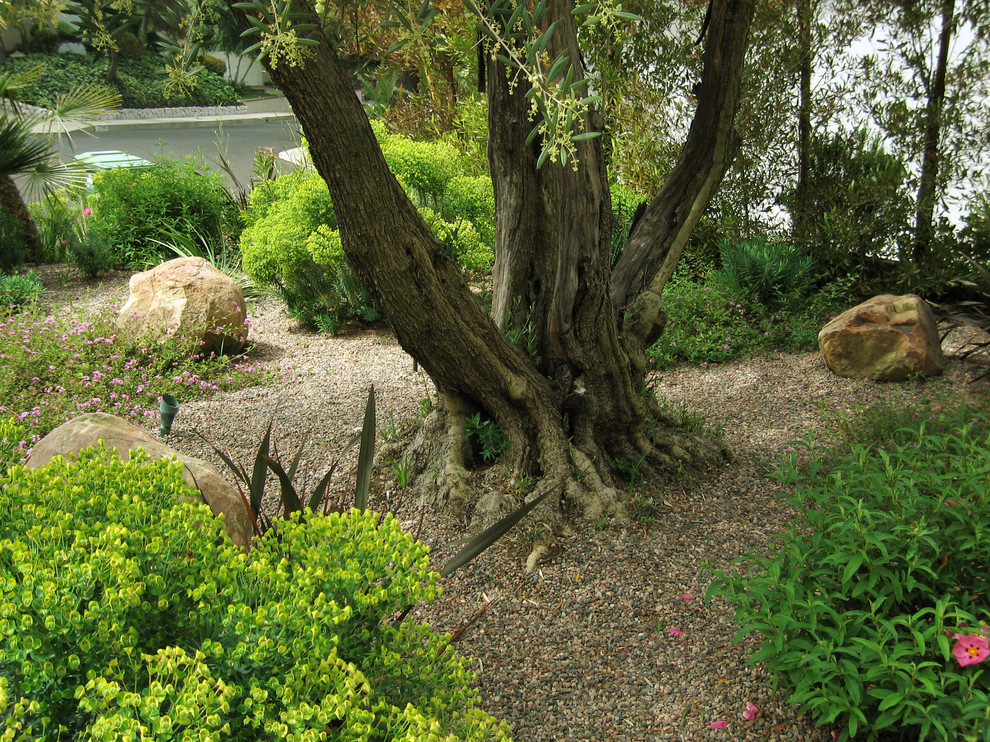 Cette photo montre un grand jardin à la française arrière chic avec une exposition ombragée et un paillis.