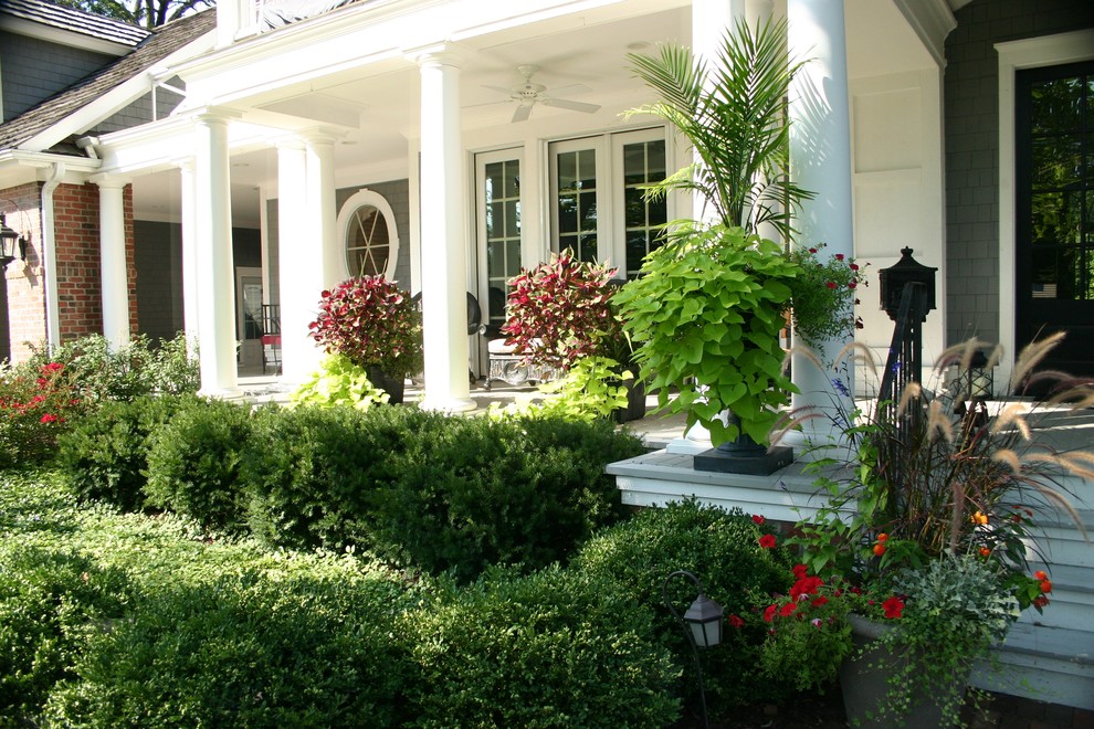 Foto di un giardino chic esposto a mezz'ombra davanti casa e di medie dimensioni in estate con un giardino in vaso e pedane